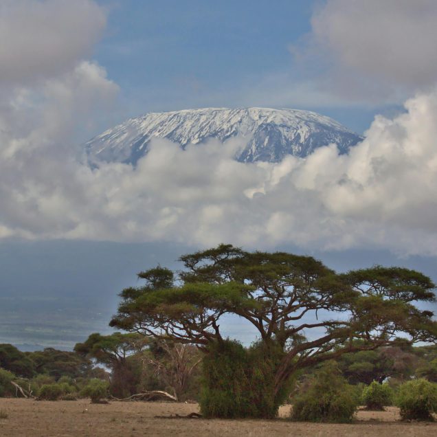 Mount Trekking