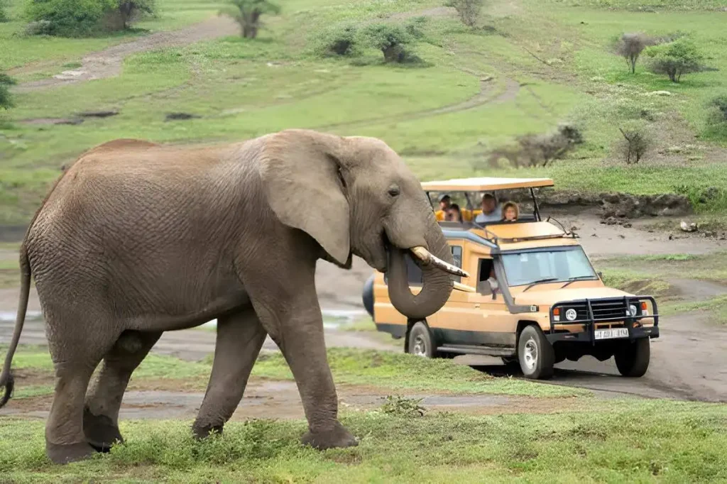3 day Private Tanzania Safari